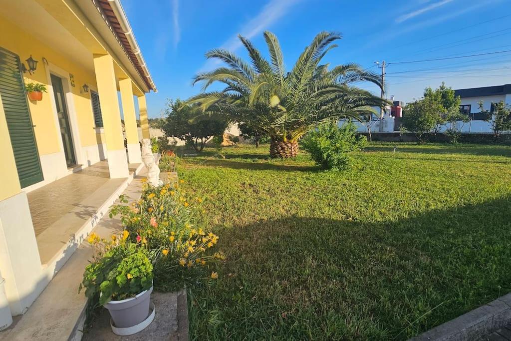 Quinta Marinhais Para Ferias No Ribatejo Екстериор снимка